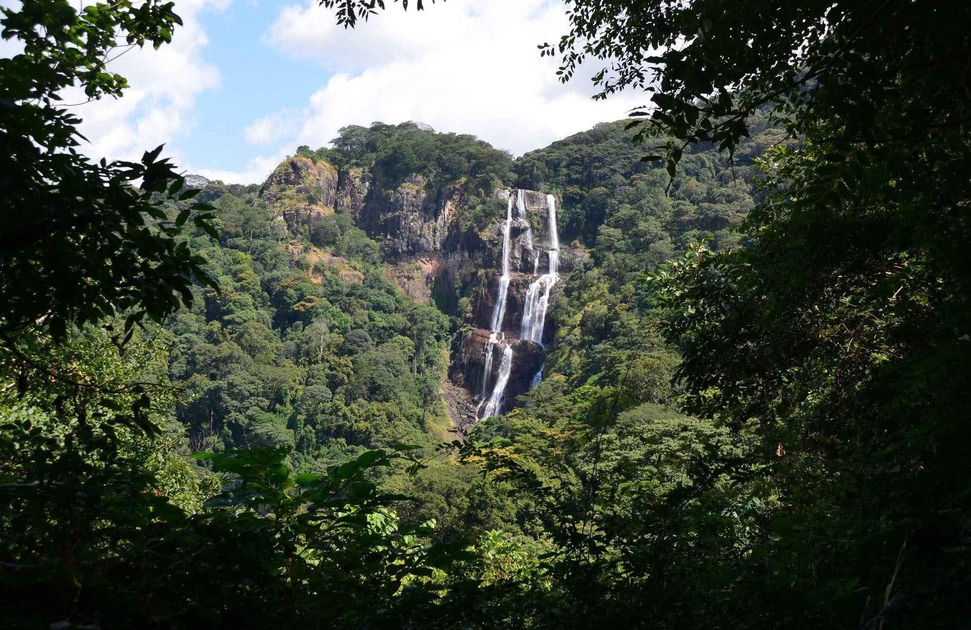 Национальный парк Удзунгва Горный: тропический храм природы